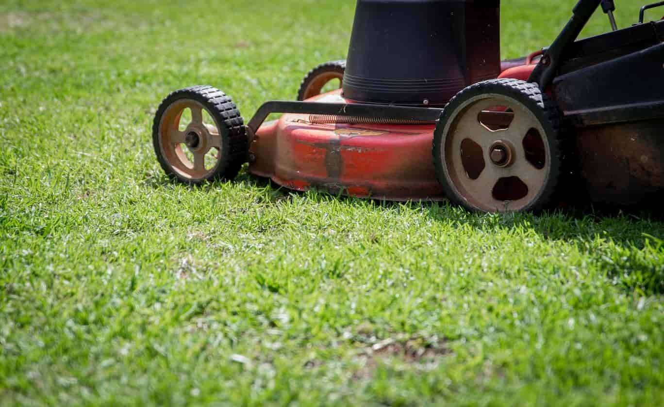 Rasenmäher bei der Grünpflege einer Außenanlage