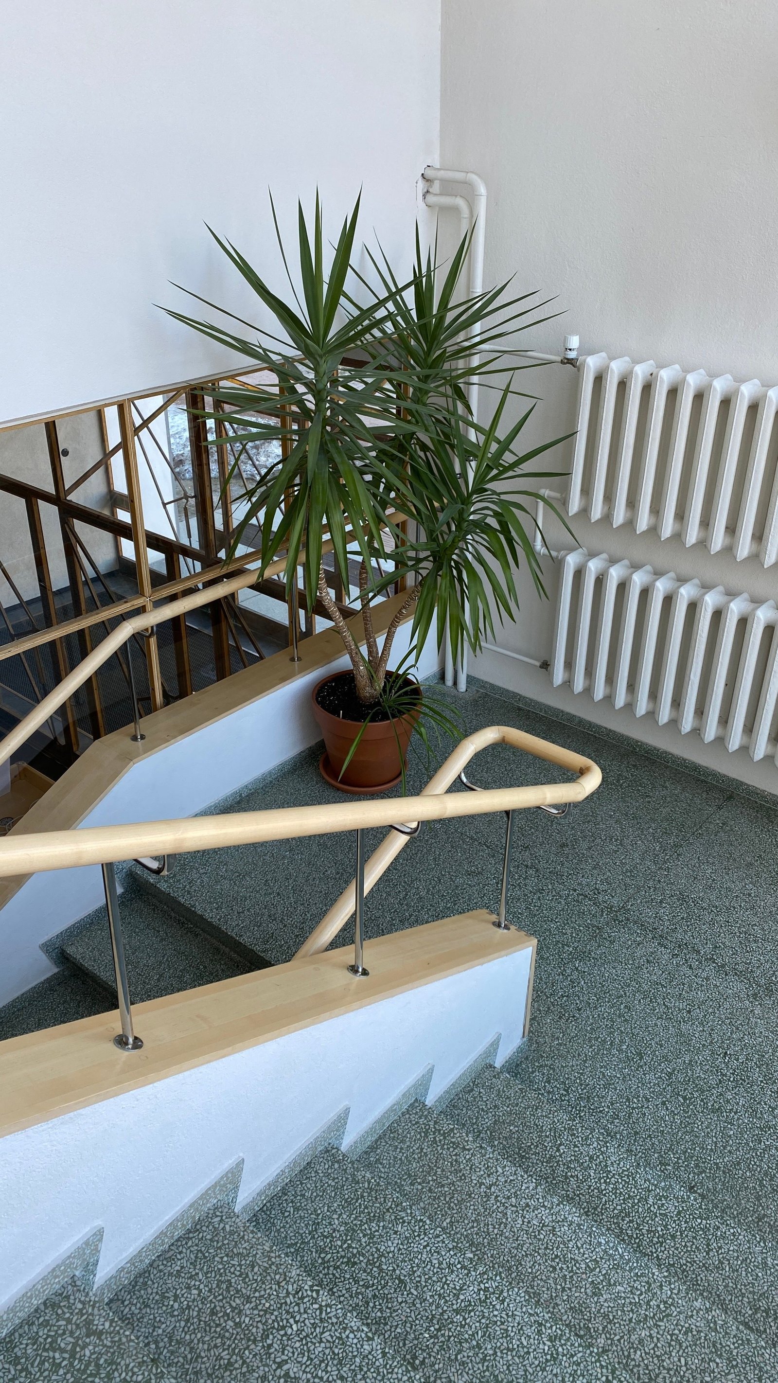 Gepflegter Hauseingang mit Pflanzen und sauberen Gemeinschaftsflächen